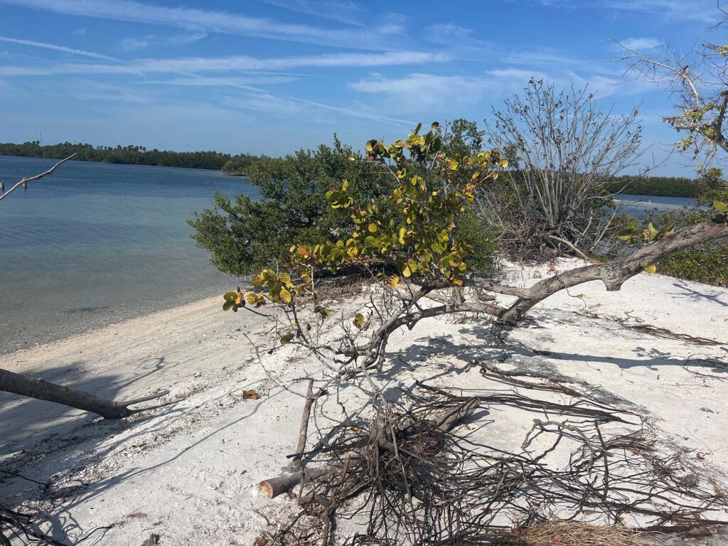 private island for sale located in Tampa Bay, Florida